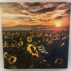 Sunflower Canvas
